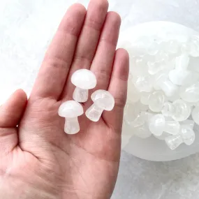 Clear Quartz Mushroom 1pc