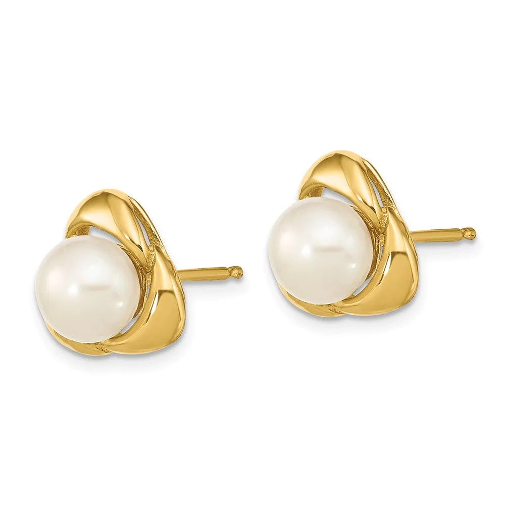 Gold 5-6mm White Button Freshwater Cultured Pearl Post Earrings - Model XF608E