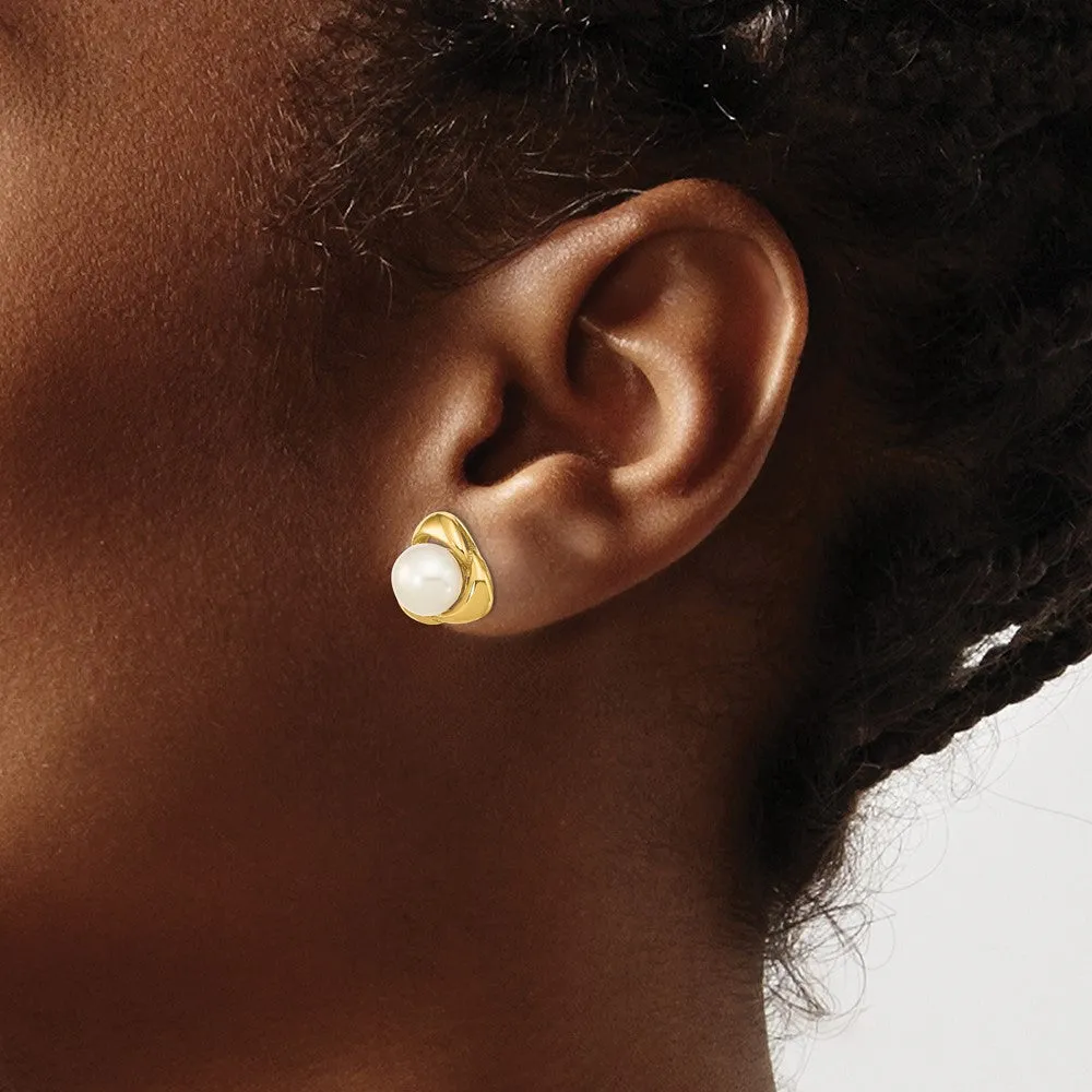 Gold 5-6mm White Button Freshwater Cultured Pearl Post Earrings - Model XF608E