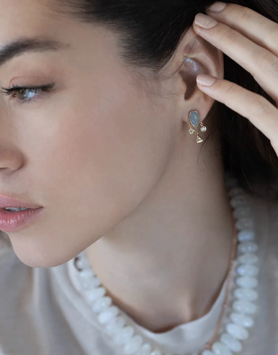 Labradorite Teardrop Diamond Shaker Earrings