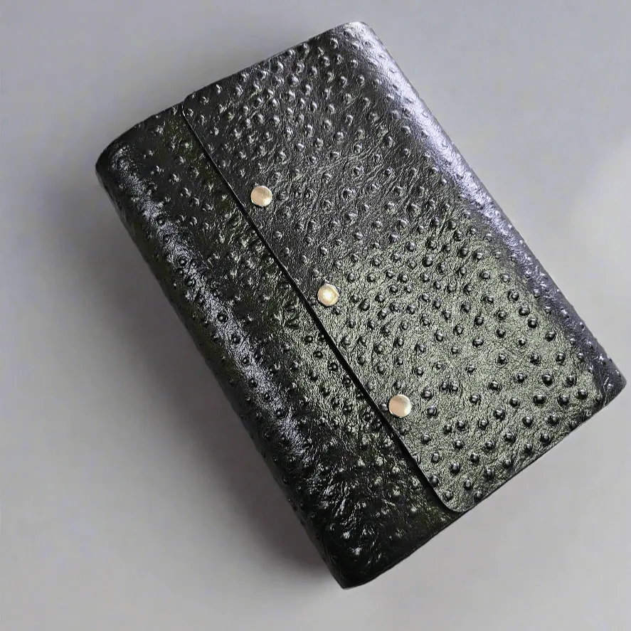 Leather watch case