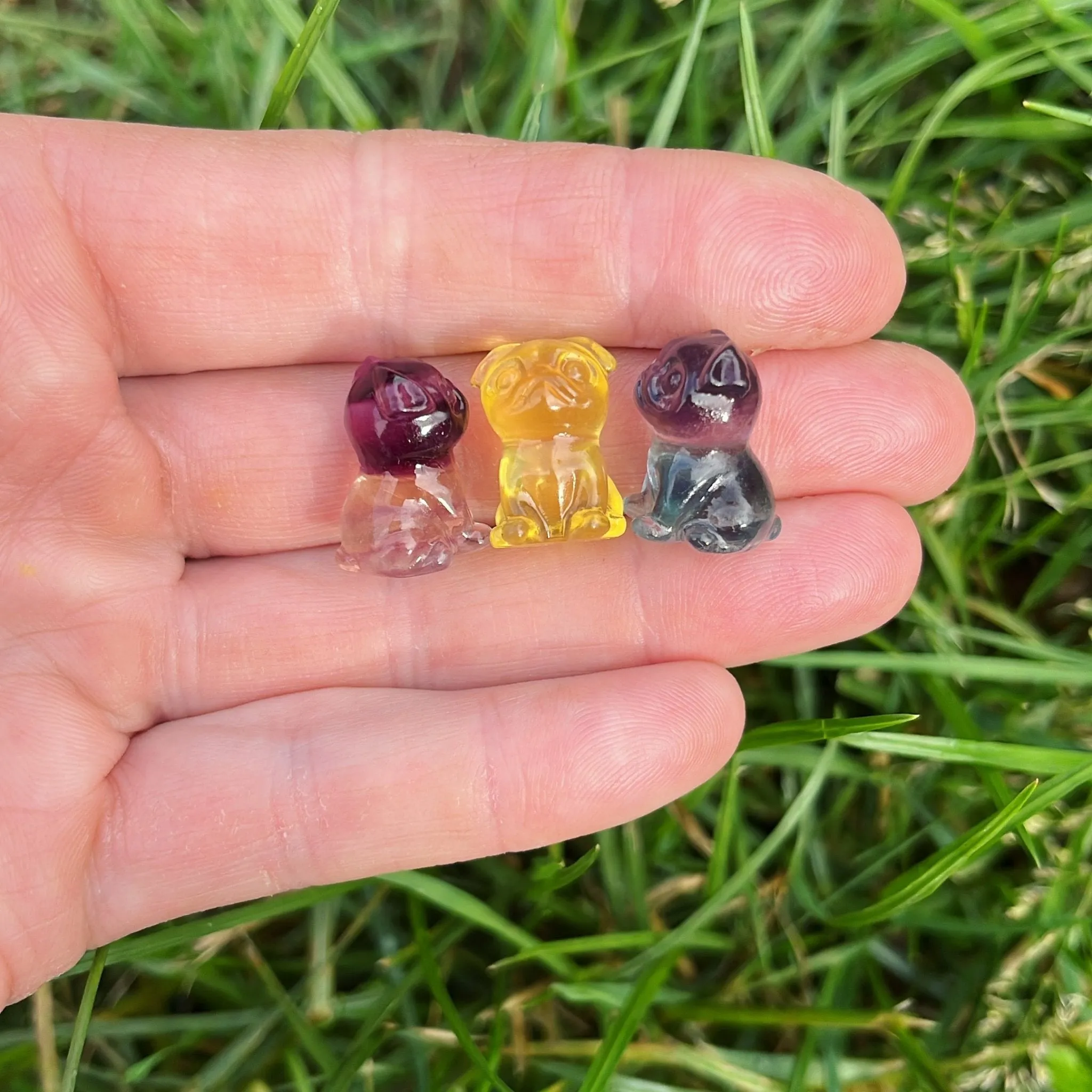 Mini Fluorite Pug Dog