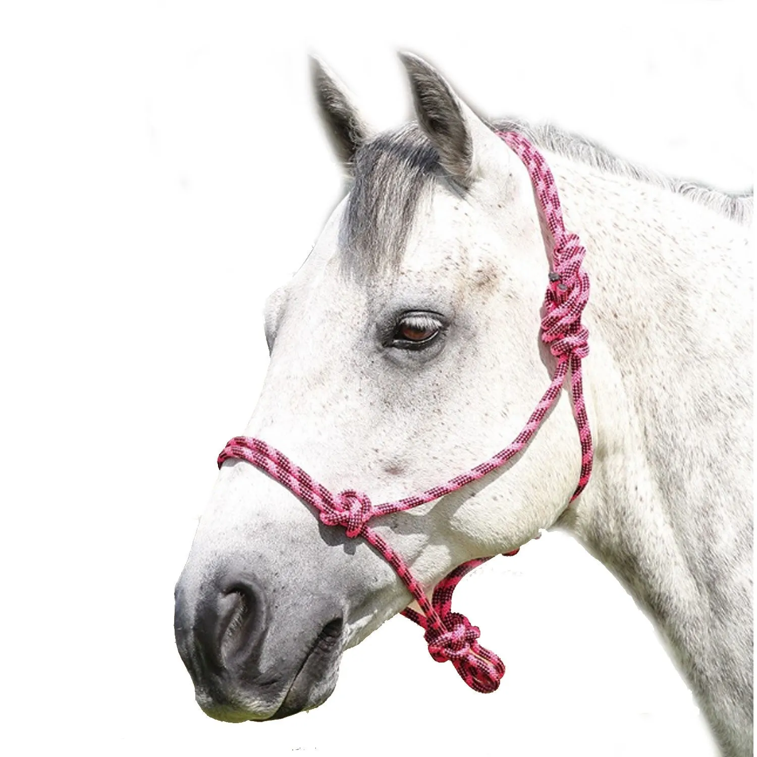 Shires Adjustable Rope Halter