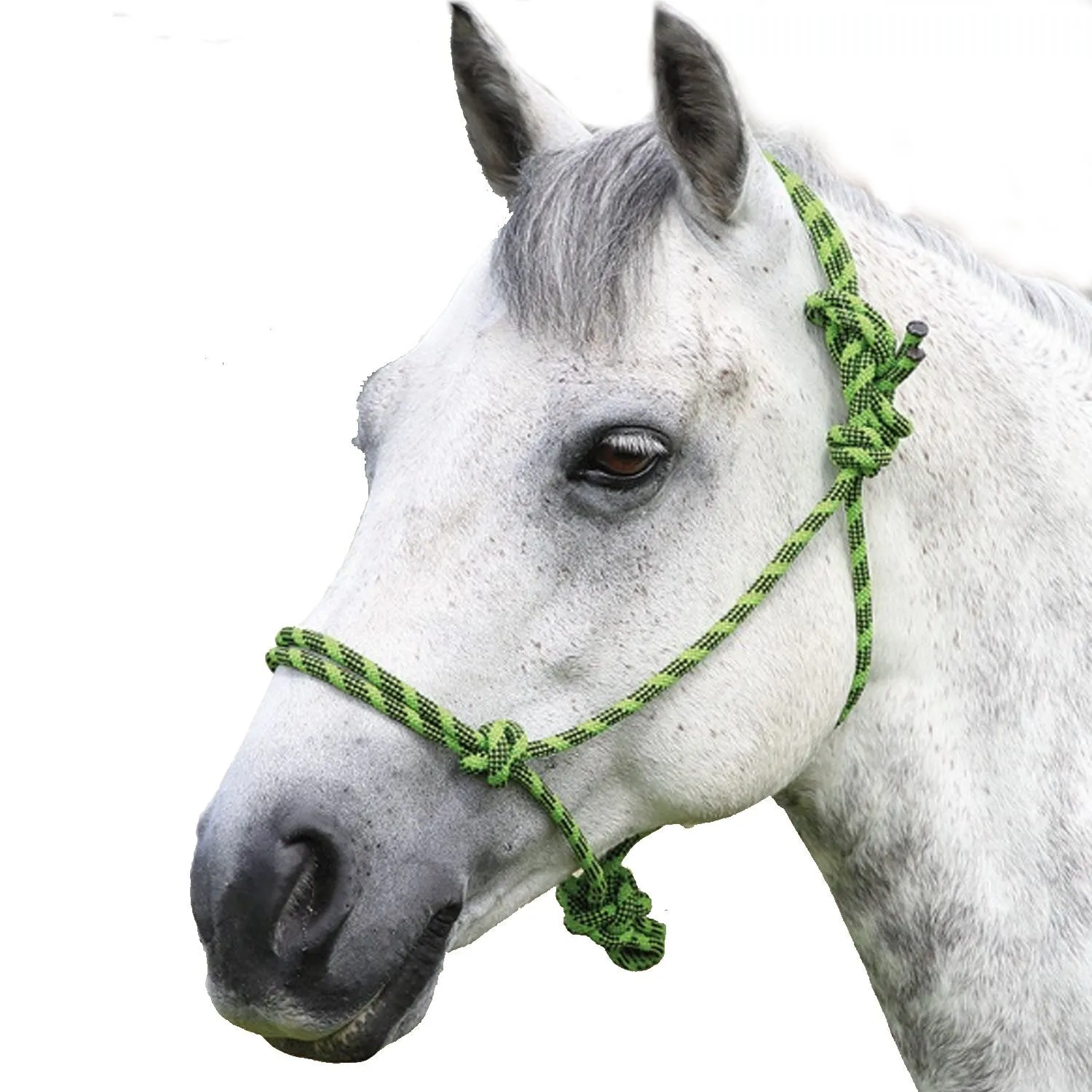 Shires Adjustable Rope Halter