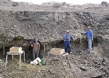 The Story of Oregon Sunstone Book
