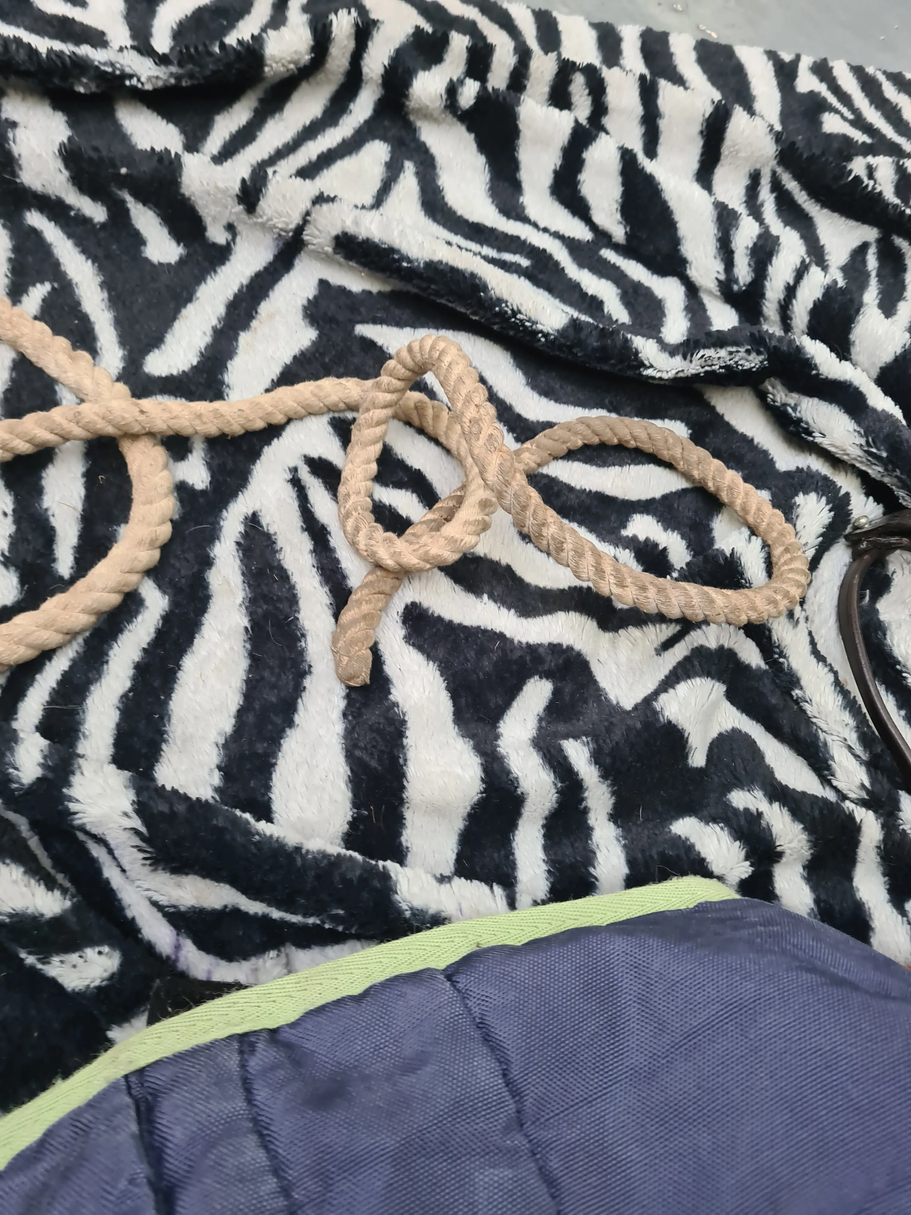 Used rope adjustable/ pressure head collar FREE POSTAGE☆